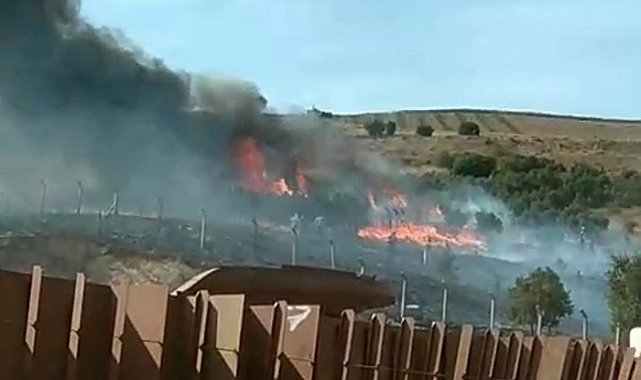 Erdek'te otluk ve ağaçlık alanda yangın