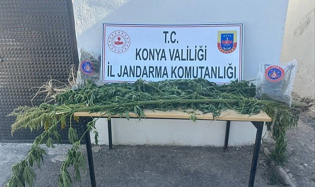 Ereğli'de uyuşturucu operasyonu