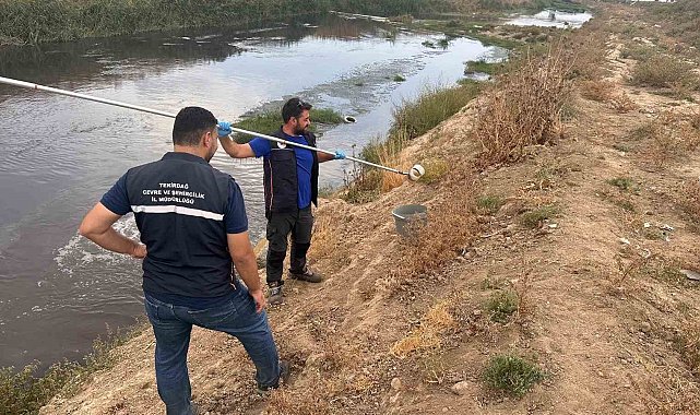 Ergene'de arıtılmadan çaya atık su deşarjı tespit edildi