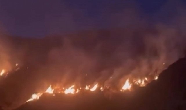 Erzincan'da örtü yangını ormana sirayet etmeden kontrol altına alındı