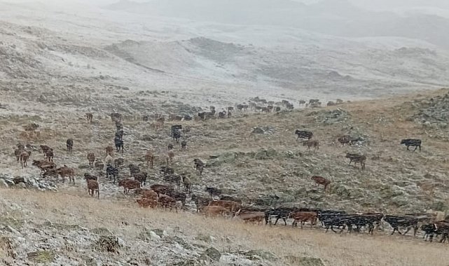 Erzurum'da yüksek kesimlere kar yağdı