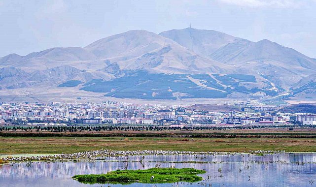 Erzurum'un "Beşeri Sermaye Endeksi" puanı 0.675 oldu