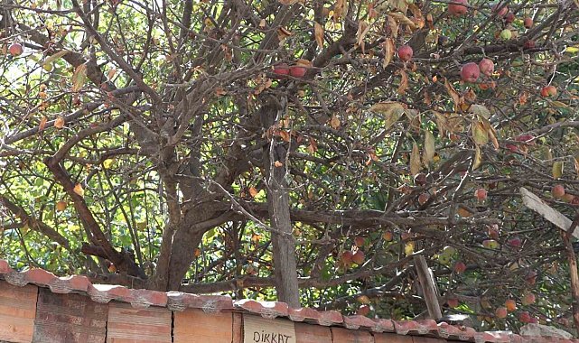 Eskişehir'de şaşırtan uyarı