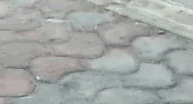 Esnaf, kedi ile farenin kapışmasını maç anlatır gibi anlattı