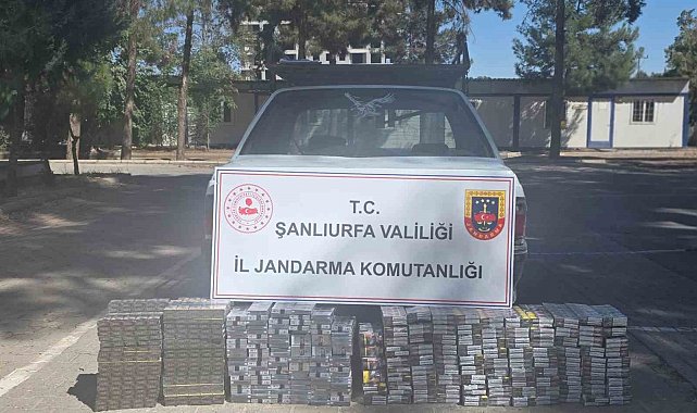 Eyyübiye'de 2 bin 145 paket kaçak sigara ele geçirdi