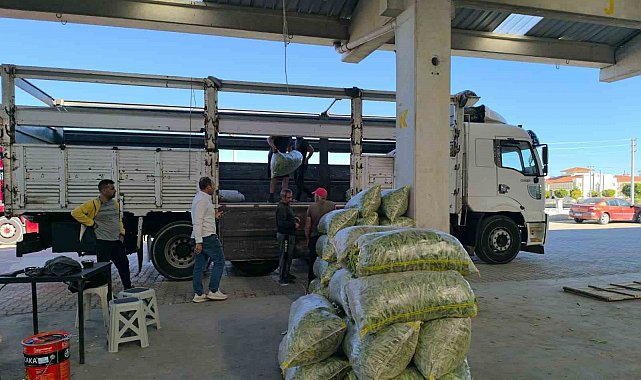 Fasulye pazarında yüzler güldü