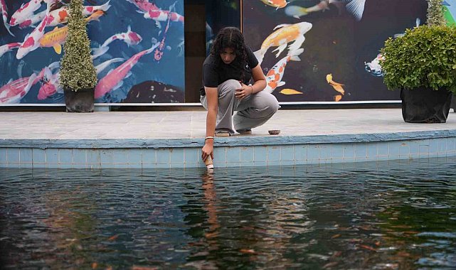 Gaziantep'te rengarenk Japon koi balıklarını ziyaretçiler biberonla besliyor