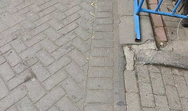 Gaziosmanpaşa'da ağızlıksız gezdirilen pitbull başka köpeğe saldırdı