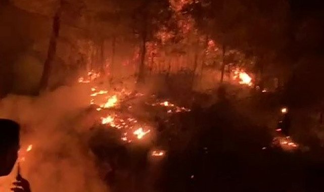 Gazipaşa'da ormanlık alanda yangın