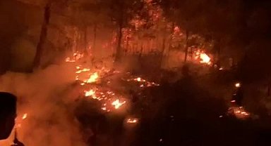 Gazipaşa'da ormanlık alanda yangın