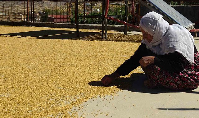 Gercüş'te yüzyıllardır devam eden bulgur kaynatma geleneği devam ediyor