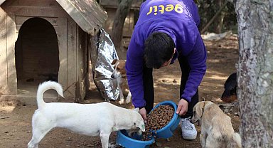 Getir'den bu yıl da 1 milyon kap mama desteği