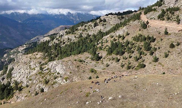Gümüşhane'de genç muhtarın Türkiye'ye ilham veren başarı hikayesi