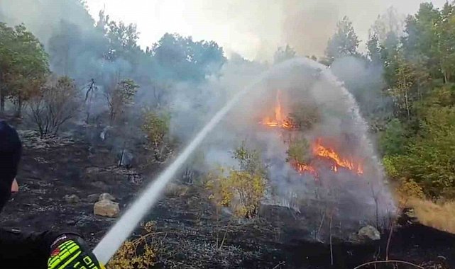 Hakkari'de 3 farklı bölgede çıkan yangın itfaiye ekiplerince söndürüldü