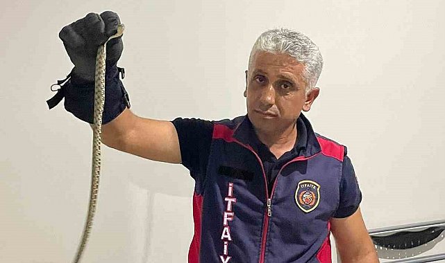 Hatay'da eve giren yılanları itfaiye yakaladı