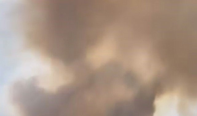 Hatay'da zeytinlik alanda çıkan yangın büyümeden söndürüldü