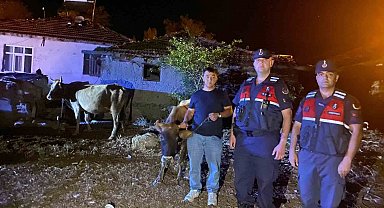 Hayvanları kaybolan çiftçinin imdadına Jandarma ekipleri yetişti