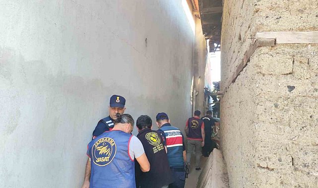 İçkisine karışan babaannesini başına tüple vurarak öldürdü