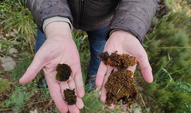 İklim değişikliği ve uzay çalışmaları için önemli proje