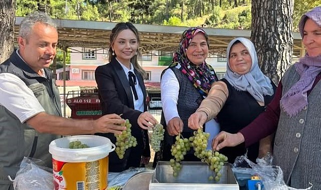 İklime Dirençli Ormancılık Projesi