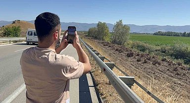 İlçenin simgesi olmuştu, ağaç koridorundan geriye kökleri kaldı