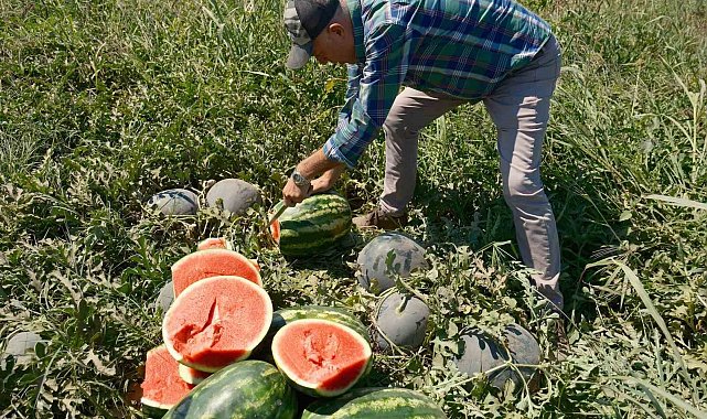 Iphone 17 almak için 30 tır karpuz ya da 2 tır domates satmak gerekiyor