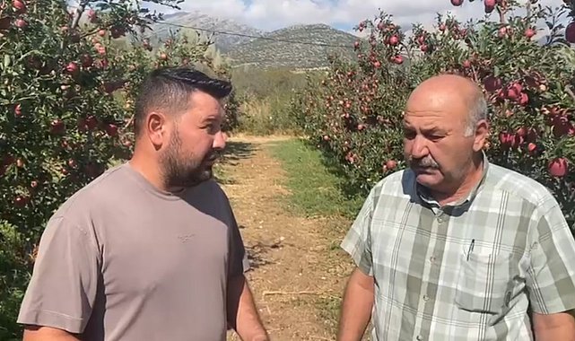 Isparta'da bir gecede 4 bin 200 ton elma doluya teslim oldu, zarar 170 milyon TL