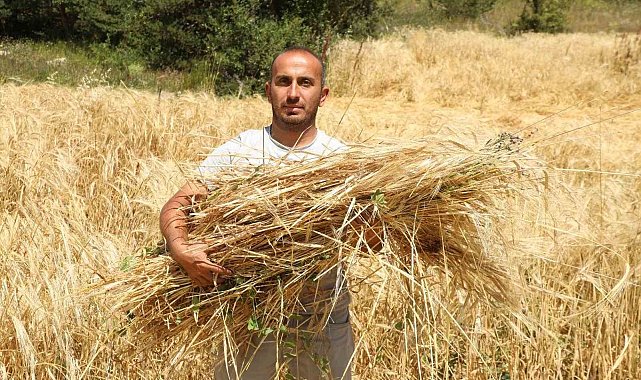İstanbul'dan Ordu'ya uzanan çiftçilik öyküsü başarıya dönüştü