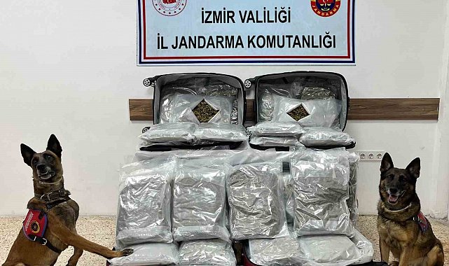 İzmir'de uyuşturucu ticaretine Jandarmadan geçit yok