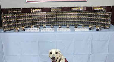 Jandarma bin 320 paket kaçak sigara ele geçirdi