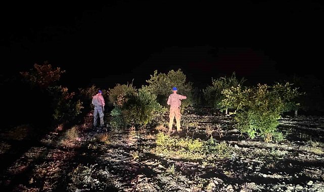 Jandarma ekipleri, narenciye hırsızlarına karşı devriyede