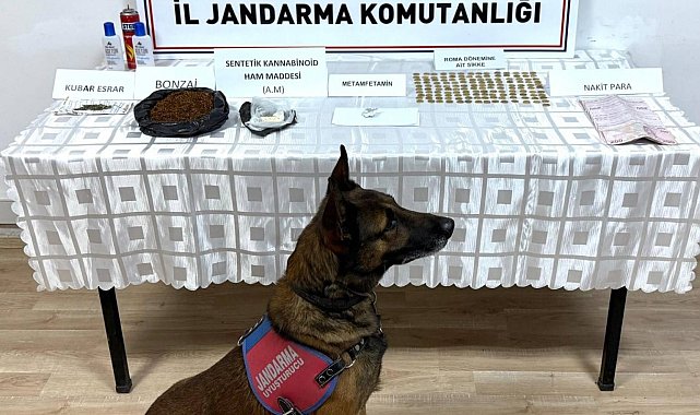 Jandarma'dan uyuşturucu operasyonu: 1 gözaltı