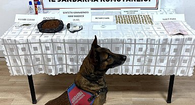 Jandarma'dan uyuşturucu operasyonu: 1 gözaltı