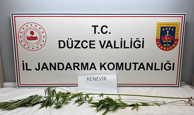 Jandarma'dan uyuşturucu operasyonu