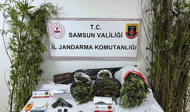 Jandarmadan uyuşturucu operasyonu: Esrar, kenevir ve silah ele geçirildi
