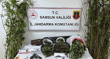 Jandarmadan uyuşturucu operasyonu: Esrar, kenevir ve silah ele geçirildi