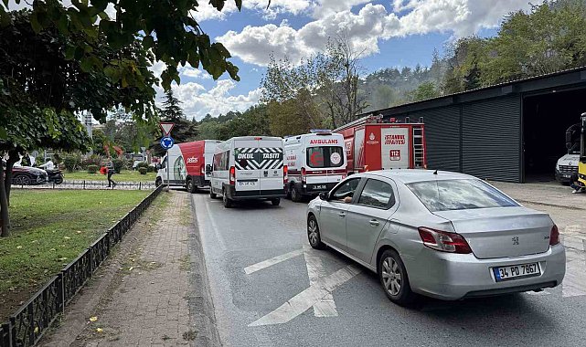 Kağıthane'de ağaçlık alan alev alev yandı
