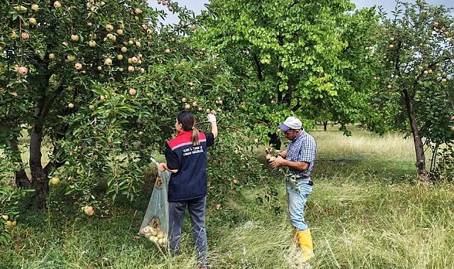 Kağızman'da elma bahçelerinde Pestisit denetimi