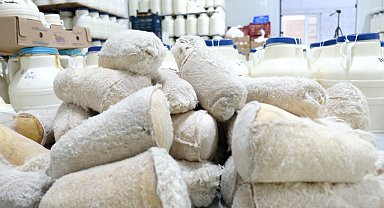 Kahvaltı sofralarına 3 bin rakımdan gelen lezzet: Erzincan tulum peyniri