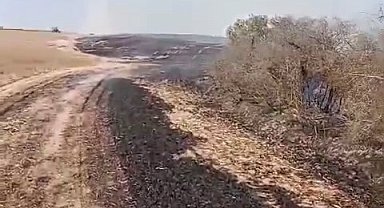Kapaklı'da çıkan yangında 8 dönüm arazi kül oldu