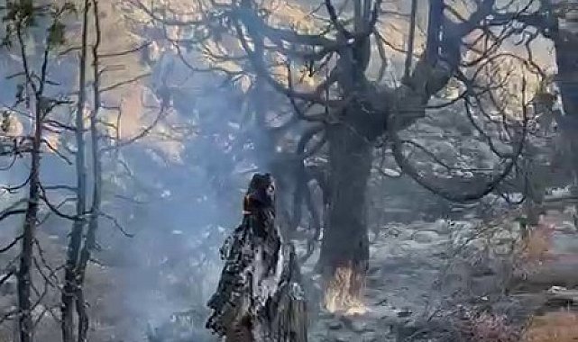 Karaman'da çıkan örtü yangını ağaçlık alana sıçradı