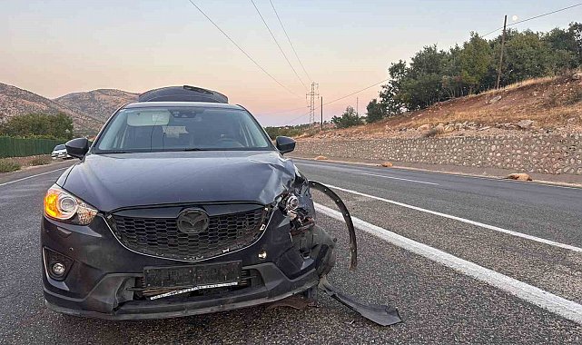 Karayoluna çıkan sürüye otomobil çarptı