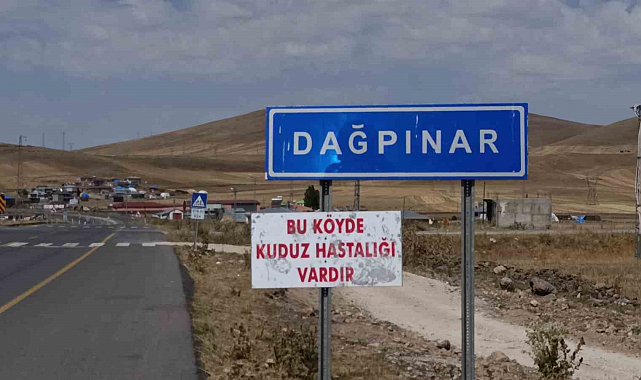 Kars'ta kuduz vakası: Bir belde karantinaya alındı
