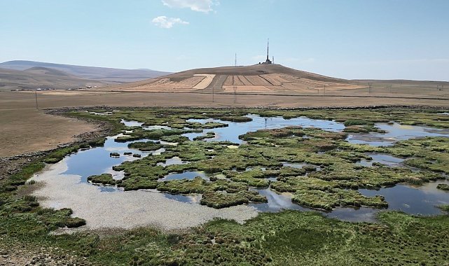 Kars'ta kuraklığın vurduğu Çalı Gölü'nü kuşlar terk etti