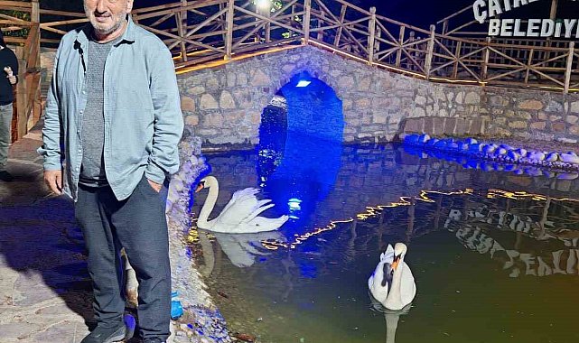 Kastamonu'da incir ağacında düşen vatandaş hayatını kaybetti