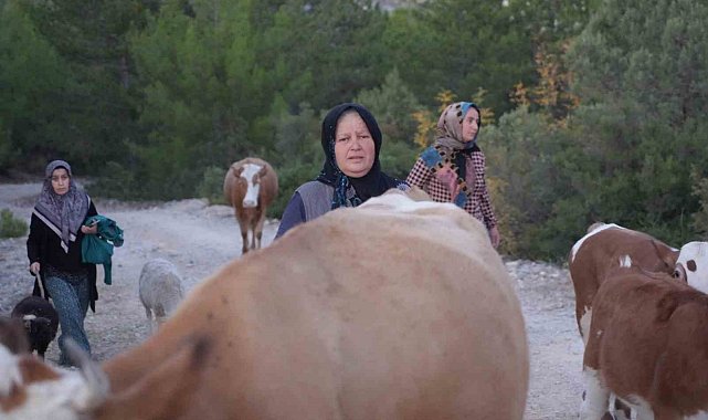 Kastamonu'da orman yangını kontrol altına alındı, vatandaşlar köylerine kavuştu