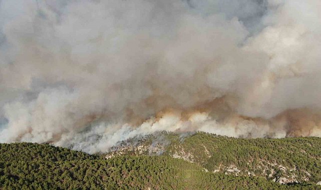 Kastamonu'daki orman yangınlarında 2 bin 736 hektar alan zarar gördü
