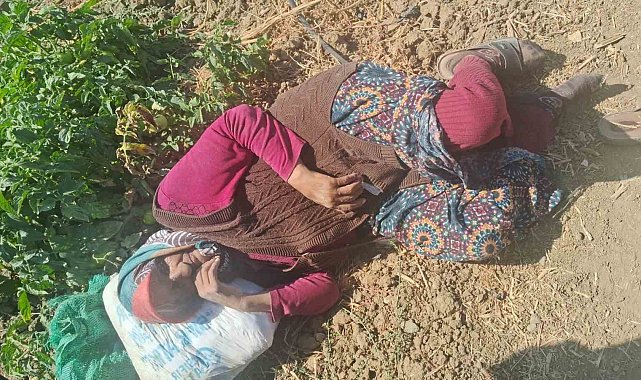 Kaybolan 74 yaşındaki kadın bulundu