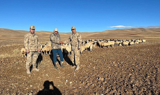 Kaybolan hayvanlar jandarma tarafından bulundu