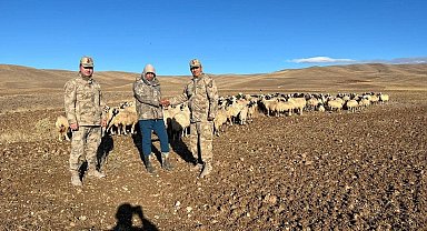 Kaybolan hayvanlar jandarma tarafından bulundu